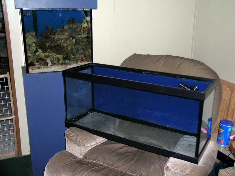 Here is the new infront of the old. I think I may use the old one as a replacement for my 10g Figure-8 puffer tank.