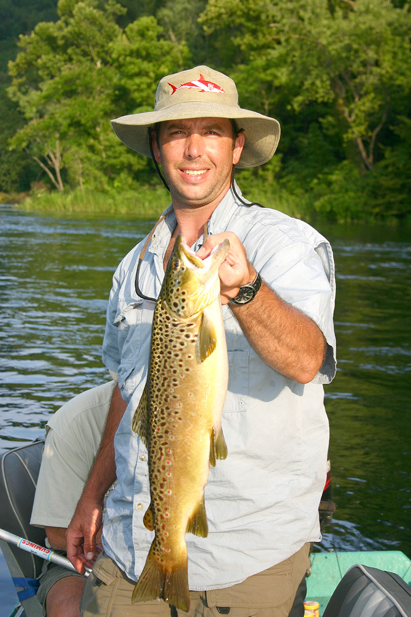 browntrout1.jpg